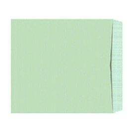 NSSP A4 size 12x10 inch cloth line courier cover set of 50pcs,courier envelopes,courier cover green,green envelopes for office letter document (Pack of 50)