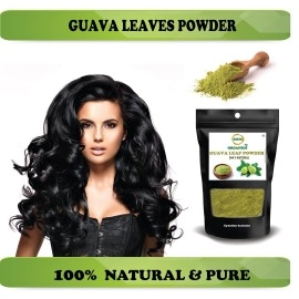 Diets Organics Guava Leaves Powder -100 G/Amrood Patti/Psidium Guajava Powder for Tea and Juice - 100 G pack of 2
