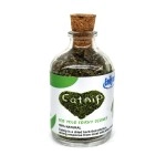 Emily Pets Natural Attractive Mint Fragrance Catnip for Cats Kitten