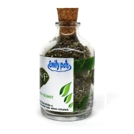 Emily Pets Natural Attractive Mint Fragrance Catnip for Cats Kitten