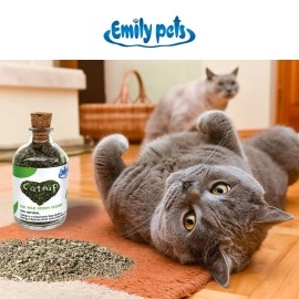 Emily Pets Natural Attractive Mint Fragrance Catnip for Cats Kitten