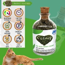 Emily Pets Natural Attractive Mint Fragrance Catnip for Cats Kitten
