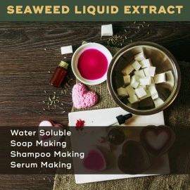 BRM Herbals Seaweed Liquid Extract - Water Soluble - 100 Grams For Soap Making, Shampoo, Cosmetics, Lotions, Creams, Face Wash, Serum Making & Diy Personal Care For Face, Hair, Skin & Body