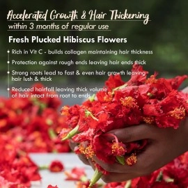 Nat Habit - Back To Natural Secrets Everyday 5-Oil Hibiscus Fresh Hair Mask for Growth, Hairfall Control & Smoothening For Dry, Frizzy Hair Treatment, 19 Herbs, Castor, Coconut, Argan,40g (Pack Of 3)