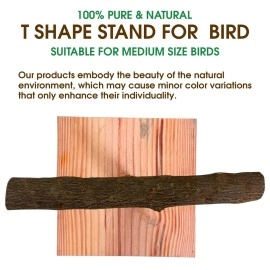 CONGO Natural Parrot Treat Premium Non-Toxic Wood T Training Stand 1Ft. for Bird (Piece of 1)