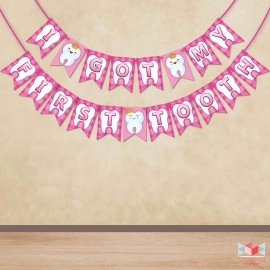 Wobbox First Tooth Photo Booth Party Props (13 Pcs) with I Got My 1st Tooth Check Pattern Bunting Banner, Pink Colour Stylish Font, First Tooth Decoration, First Tooth Decoration Items for Baby