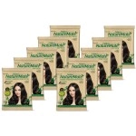 Nisha Nature Mate Henna Based Hair Color Powder Without Ammonia Natural Black 10Gm Sachet Pack of 10 (Natural Black, 10gm Pack of 10)