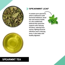 TEACURRY Spearmint Tea Bag - Helps With Hormonal Imbalance, Facial Hair, And Pcos | Spearmint Leaves (30 Tea Bags - 1 Month Pack), 60 Grams