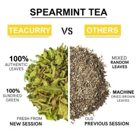 TEACURRY Spearmint Tea Bag - Helps With Hormonal Imbalance, Facial Hair, And Pcos | Spearmint Leaves (30 Tea Bags - 1 Month Pack), 60 Grams