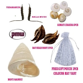 Pmw - Devi Sri Guru ji Kit- Devils Pod - 2 Pcs - Balamudi Yedamudi - 1 Each - Gomti Chakra -5 Pcs - 1 Sanku - 1 Pouch