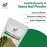 Mewar Impex 100% Organic Senna Leaves | Sonamukhi Powder 250g | Senna Alexandrina | Cassia Angustifolia | Sanay Patti
