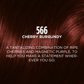 LOral Paris Casting Creme Gloss Ultra Visible Hair Color With No Ammonia, Cherry Burgundy 566, 100G + 60Ml