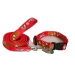 RvPaws Dog Collar and Leash Set Puppy Printed, Adjustable Nylon Collar with Leash for Small and Medium Dogs, Color-Full Collar Leash Set for Puppies, Dog & Cat 15 MM (Red)