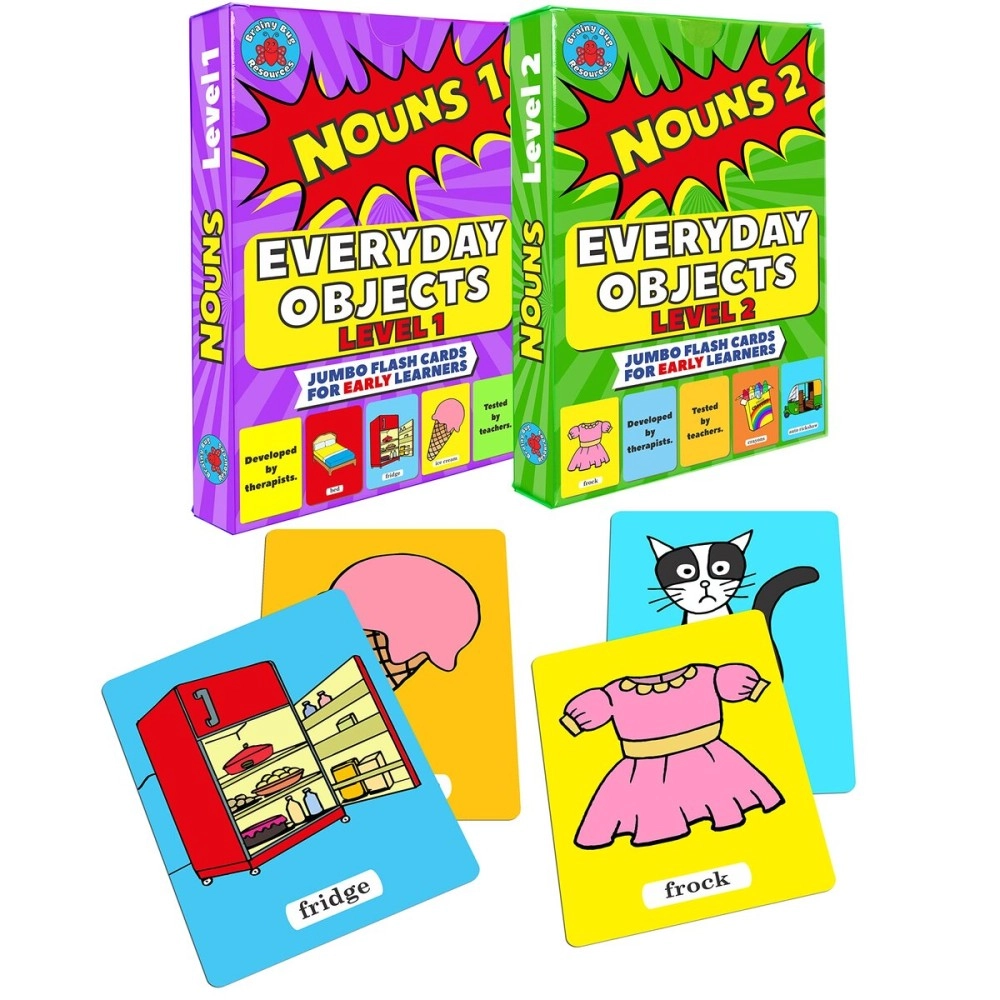 Brainy Bug Resources Flashcards and for Teaching Language (Everyday Objects, Combo)