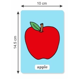 Brainy Bug Resources Flashcards and for Teaching Language (Everyday Objects, Combo)