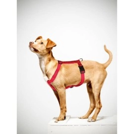 Trixie: - Classic H-Harness for Dogs | Made Nylon, Lightweight and Fully Adjustable Straps | Great Alternative to a Collar and Lead When Walking Your Pet - (40-65 cm/15 mm, S-M) Red