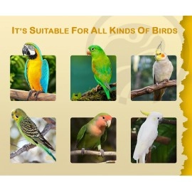 STAR FARMS Breeding Formula Pet Birds Health Supplements with Unique Formula for Breeding Pet Birds - 100 Grams/Good Breeding Results, Better Fertility.