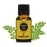 Earth N Pure Moringa Essential Oil (Behen Oil) | 15 ML | 100% Undiluted, Natural & Therapeutic Grade - Helps In Skin & Hair Care