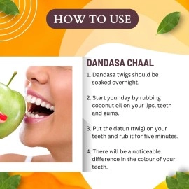 Brijbooti Dandasa - Datoon - Juglans - Walnut Tree Peel (Helps in teeth whitening) 50 Gr
