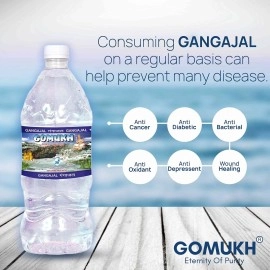 GOMUKH Gangajal 1000ML The Purest Holy Water Directly From Gangotri Valley Approved By Govt. Of Uttrakhand For Puja Purposes 1 Litre 1 Ltr