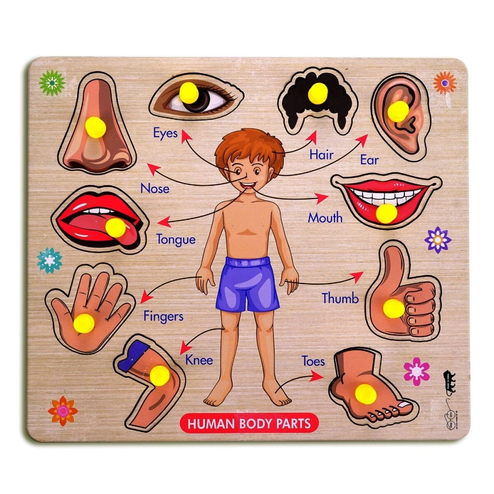 Lefan Wooden Puzzles (Body Wooden Big)