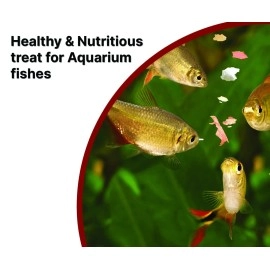 Boltz Freeze Dried Shrimp Treats 50gm Fish Food for Arowana, Cichlid, Oscar, Flowerhorn, Bloor Parrot,Natural Food for Freshwater and Marine Fish, Healthy & Nutritious Fish Food (50gm, Pack of 1)