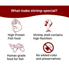 Boltz Freeze Dried Shrimp Treats 50gm Fish Food for Arowana, Cichlid, Oscar, Flowerhorn, Bloor Parrot,Natural Food for Freshwater and Marine Fish, Healthy & Nutritious Fish Food (50gm, Pack of 1)