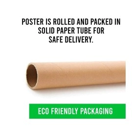 PRINTNET New Born Baby Girl,Boy Poster for Wall Pregnant Women Cute Large Posters in Room Bedroom with Big Size Gloss Finish, Size - 12 x 18 Inch, Set of 4 Photo