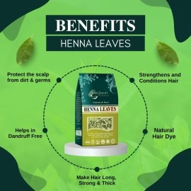 BrijBooti Birju Mahavir Heena Leaves - Lawsonia inermis - Natural & Pure Heena Leaves Mehndi (For Hair Color & Hand Color) 200 Gr