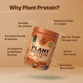 Origin Nutrition 100% Natural Vegan Plant Protein Powder,Easy to Digest Filter Coffee Flavour with 25g Plant Based Protein,Gluten Free,Dairy Free,No Added Sugar,Soy Free,Non -GMO, Jain,7 Servings,284