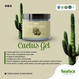 Beaface Cactus Gel skin moisturized 100gm | Cactus Face Gel For All Skin Types | Cactus Gel Skin Moisturized For Skin Glow