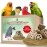 CONGO NATURAL PARROT TREAT Premium Essential Chewing Wood Toy for All Types of Birds (Piece of 8)