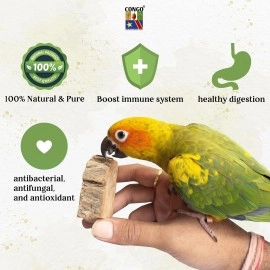 CONGO NATURAL PARROT TREAT Premium Essential Chewing Wood Toy for All Types of Birds (Piece of 8)