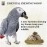 CONGO NATURAL PARROT TREAT Premium Essential Chewing Wood Toy for All Types of Birds (Piece of 8)