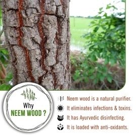 Keya Seth Aromatherapy, Neem Wooden Comb Wide Tooth with Handel All Purpose Large Size Perfect Hair Setter