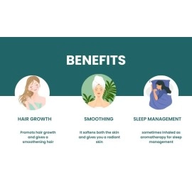 Genius Herbs Vetiver Roots - 50g Dried Khus-Khus/Vetiveria Zizanioides Natural Herbal Coolant for Hair Growth/Face Scrub/Healthy Skin