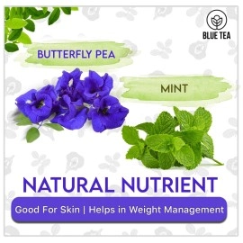 BLUE TEA - Butterfly Pea Mint Tea -30 Tea Bags || SUPER ANTI-OXIDANT || Herbal Tea - Caffeine-free - Non-GMO- Eco Conscious Tin Pack