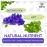 BLUE TEA - Butterfly Pea Mint Tea -30 Tea Bags || SUPER ANTI-OXIDANT || Herbal Tea - Caffeine-free - Non-GMO- Eco Conscious Tin Pack