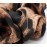 BELICIA Cheetah Hair Scrunchies 5pcs Big Large Fashion Chiffon Leopard-print Scrunchie Ponytail Holder Hair Elastic Hair Ties Hair Bands Animal-printed Pattern Scrunchy for Women Landy