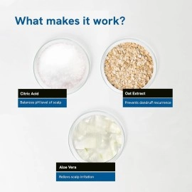 Be Bodywise Anti Dandruff Shampoo for Women 300ml | Targets Dandruff, & Removes Visible Flakes | Reduces Inflammation | Shampoo for Smooth & Frizz Free Hair | pack of 2