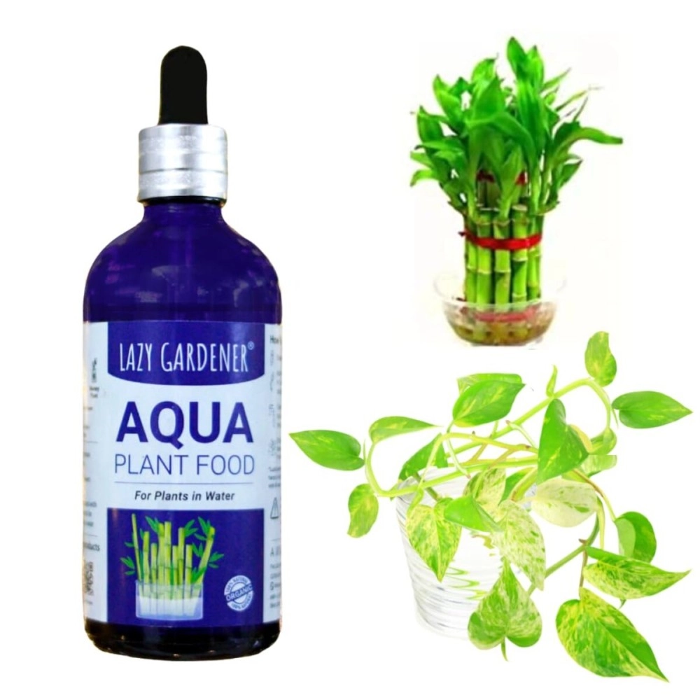 Lazy Gardener Aqua Plant Fertilizer | Liquid Fertilizer for Money Plant & Lucky Bamboo | Aqua Plant Food for Indoor Water Plants (100ml)