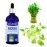 Lazy Gardener Aqua Plant Fertilizer | Liquid Fertilizer for Money Plant & Lucky Bamboo | Aqua Plant Food for Indoor Water Plants (100ml)