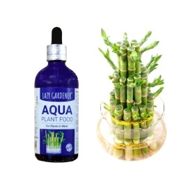 Lazy Gardener Aqua Plant Fertilizer | Liquid Fertilizer for Money Plant & Lucky Bamboo | Aqua Plant Food for Indoor Water Plants (100ml)