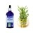 Lazy Gardener Aqua Plant Fertilizer | Liquid Fertilizer for Money Plant & Lucky Bamboo | Aqua Plant Food for Indoor Water Plants (100ml)