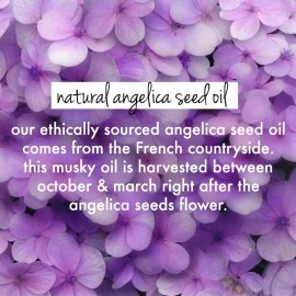 Love Beauty And Planet Rice Water & Angelica Seed Oil Silicone-Free Curl & Waves Conditioner|| No Parabens|| No Dyes|| Angelica Essential Oil|| 400ml