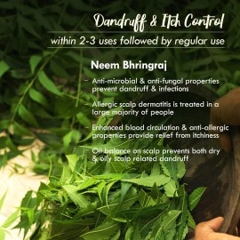 Nat Habit - Back To Natural Secrets Everyday Neem Bhringraj FRESH Hair Mask| Anti-Dandruff, Itch Control & Hair Smoothening | Dry, Frizzy Hair Treatment| Castor, Coconut, Amla - 40 g (Pack of 2)