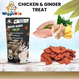WiggleBoo Chicken & Ginger Suger Glider Treat | Travel Friendly Pack | Protein Rich | Anti-Inflammatory | Crunchy Healthy Snacks | 30g