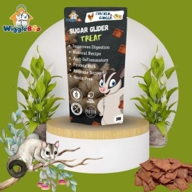 WiggleBoo Chicken & Ginger Suger Glider Treat | Travel Friendly Pack | Protein Rich | Anti-Inflammatory | Crunchy Healthy Snacks | 30g