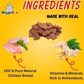 WiggleBoo Chicken & Ginger Suger Glider Treat | Travel Friendly Pack | Protein Rich | Anti-Inflammatory | Crunchy Healthy Snacks | 30g