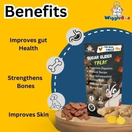 WiggleBoo Chicken & Ginger Suger Glider Treat | Travel Friendly Pack | Protein Rich | Anti-Inflammatory | Crunchy Healthy Snacks | 30g